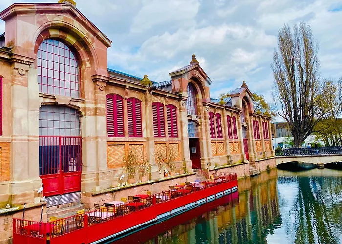 Appartement Lumineux A Colmar Avec Terrasse, Parking Et Wifi - 5 Min Du Centre - Fr-1-722-1